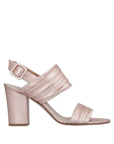 Shop Antonio Barbato Sandals In Copper