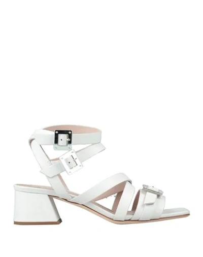 Shop Alberto Gozzi Sandals In Ivory