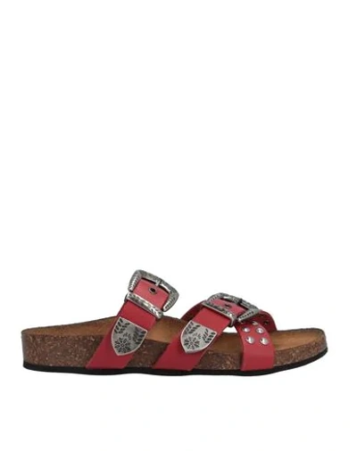 Shop Replay Sandals In Red