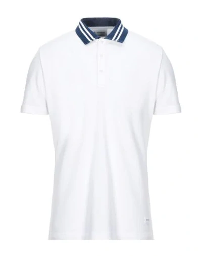 Shop Dondup Man Polo Shirt White Size Xl Cotton, Elastane