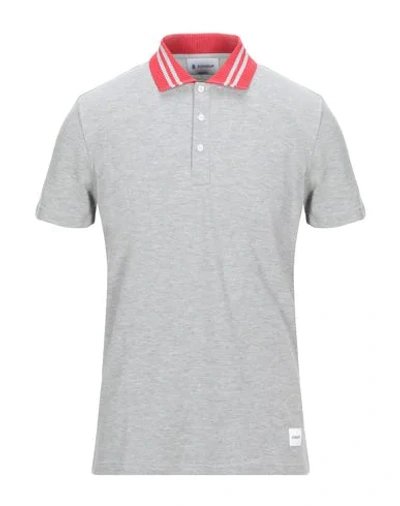 Shop Dondup Man Polo Shirt Grey Size M Cotton, Elastane