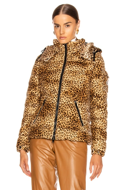 Shop Moncler Bady Jacket In Leopard