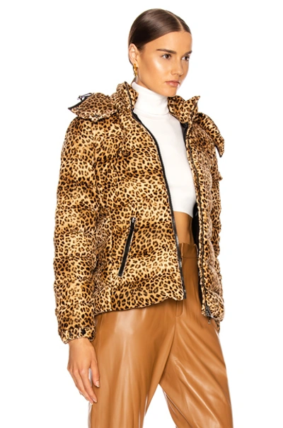Shop Moncler Bady Jacket In Leopard