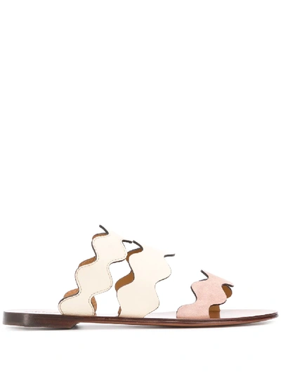 Shop Chloé Lauren Flat Sandals In Neutrals