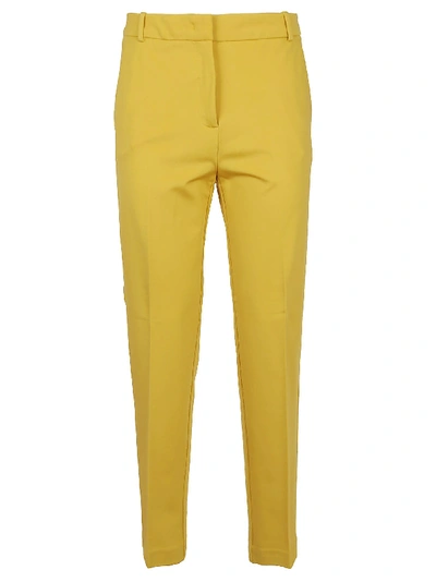 Shop Pinko Bello 83 Pantalone Punto In Yellow