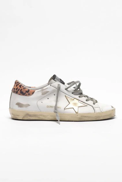 Shop Golden Goose Sneakers Superstar White Leather Orange Leopard