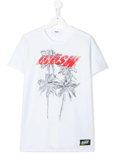 Shop Msgm Teen Palm Print T-shirt In White