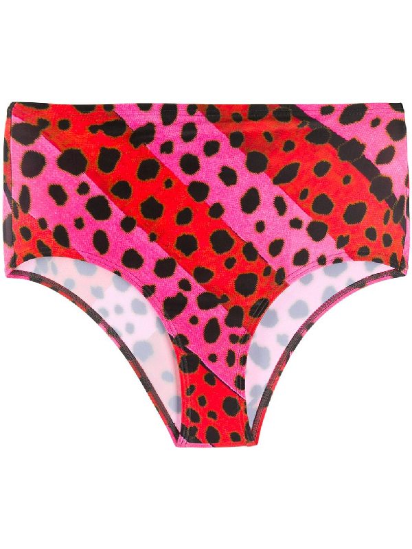 House Of Holland X Speedo Animal Print Striped Bikini Bottoms In 粉色 ...
