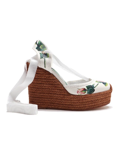 Shop Dolce & Gabbana Wedge Sandal Rose In C Rosa Fdo Panna