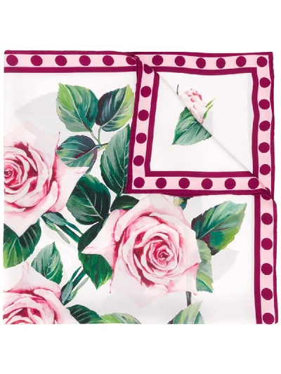 Shop Dolce & Gabbana Rose Print Scarf In Pink