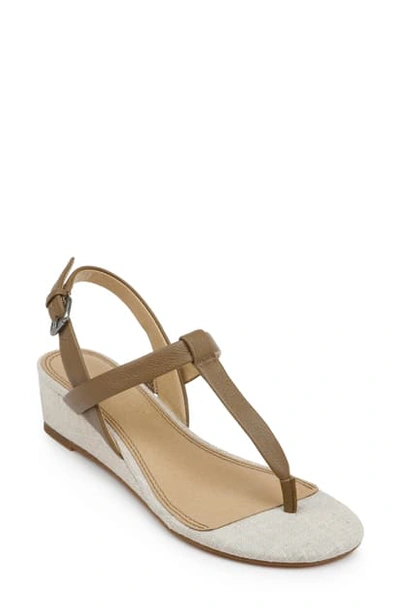 Shop Splendid Avalon Wedge Sandal In Sable Leather