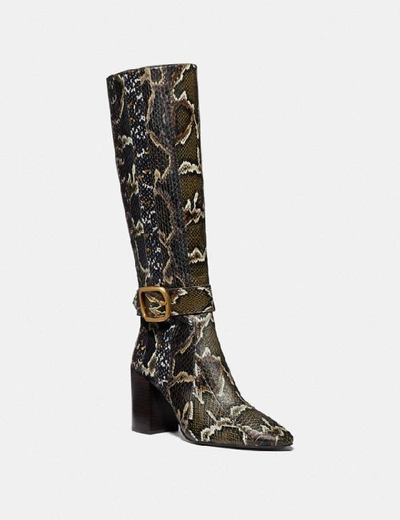 Shop Coach Evelyn Boot In Snakeskin - Women's In Oxblood/natural Multi