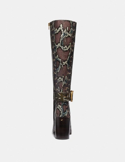Shop Coach Evelyn Boot In Snakeskin - Women's In Oxblood/natural Multi