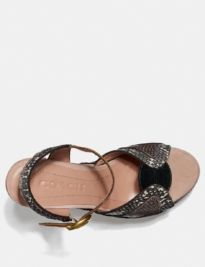 Shop Coach Platform Sandal In Snakeskin - Women's In Beechwood/nude Pink/chalk