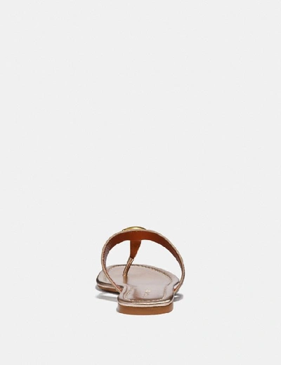 Shop Coach Jessie Sandal - Women's In Champagne