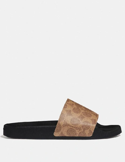 Coach Women's Signature Pvc Pool Slides In Tan