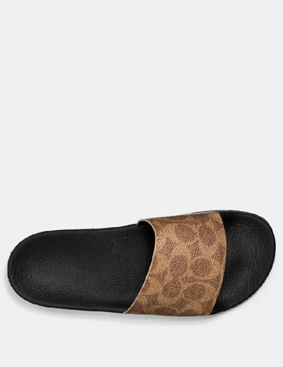 Coach Women's Signature Pvc Pool Slides In Tan