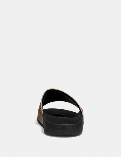 Coach Women's Signature Pvc Pool Slides In Tan