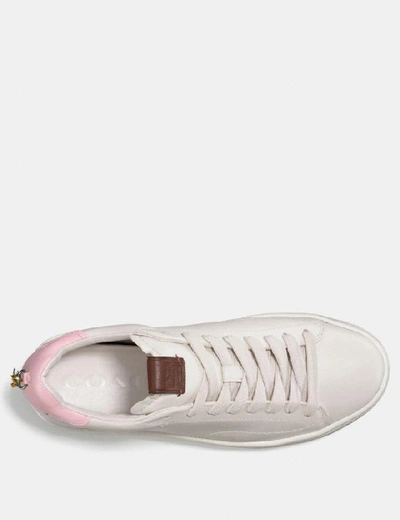 Shop Coach C101 Low Top Sneaker In White/petal