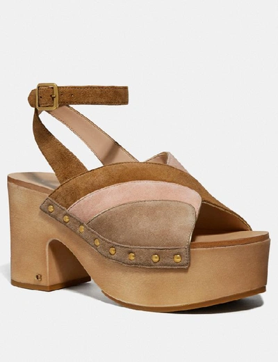 Shop Coach Nettie Clog Sandal - Women's In Oat/pale Blush