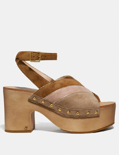 Shop Coach Nettie Clog Sandal - Women's In Oat/pale Blush