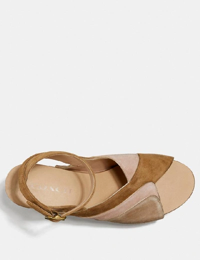 Shop Coach Nettie Clog Sandal - Women's In Oat/pale Blush