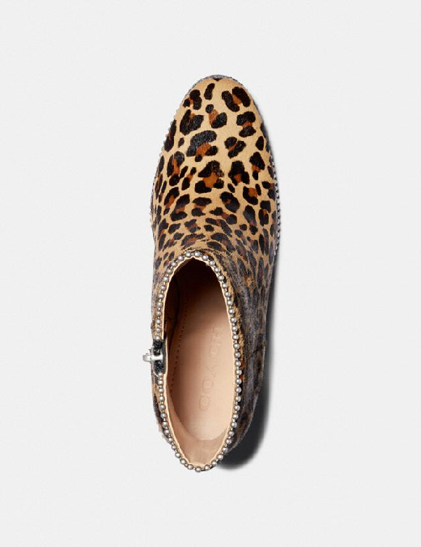 coach drea bootie