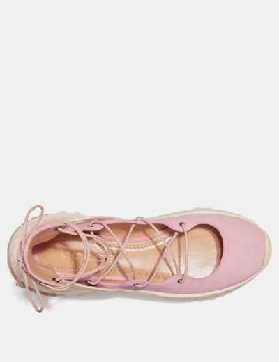 Shop Coach Lace Up Ballerina Sneaker - Women's In Blossom