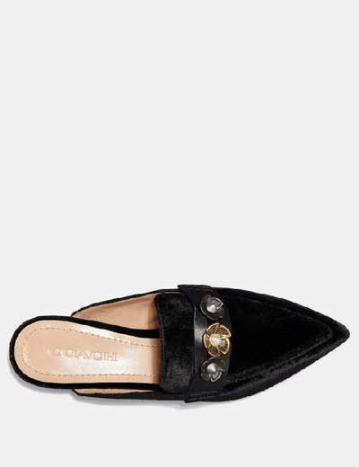 Shop Coach Nova Loafer Slide - Women's In Black