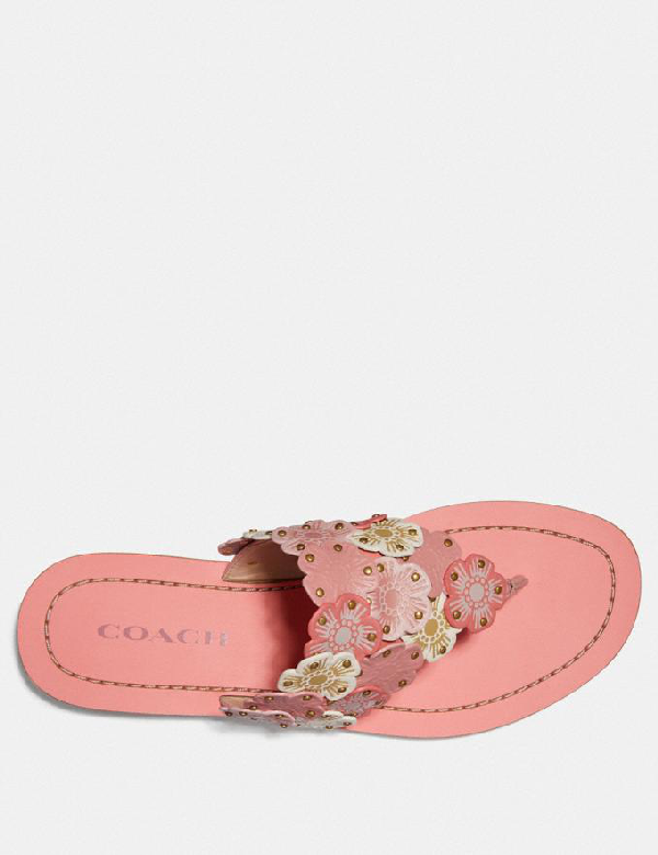 coach lottie sandal