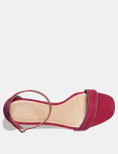 Shop Coach Maddie Sandal - Women's In Bright Cherry