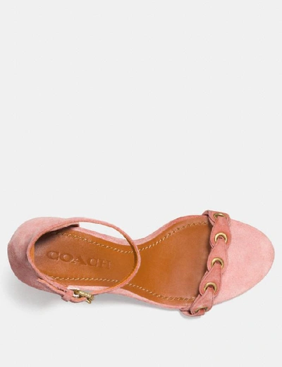 Shop Coach Heel Sandal With  Link In Peony