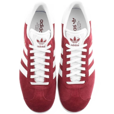 Shop Adidas Originals Gazelle Trainers Burgundy In Burgandy