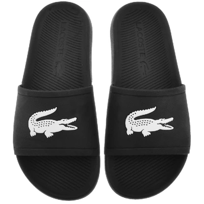 Shop Lacoste Croco Sliders Black