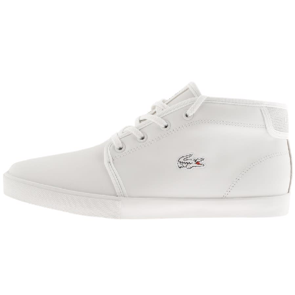 lacoste ampthill trainers