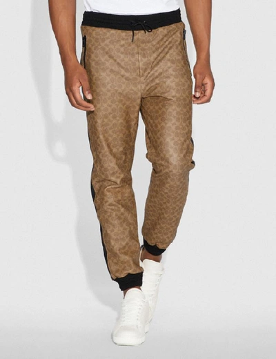 Shop Coach Signature Varsity Track Pants - Men's In Khaki Signature