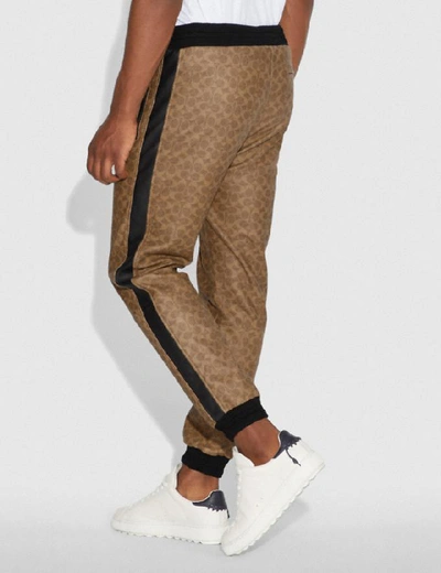 Shop Coach Signature Varsity Track Pants - Men's In Khaki Signature