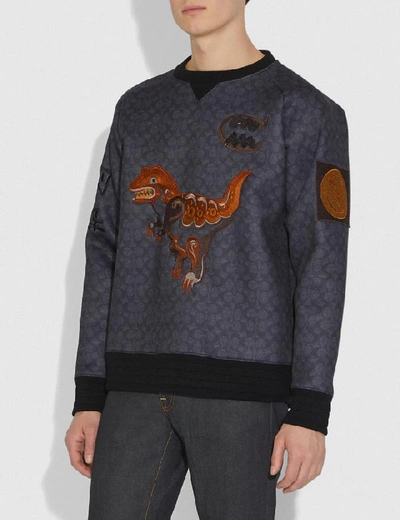 Shop Coach Rexy By Creative Artists Sweatshirt In Black Signature