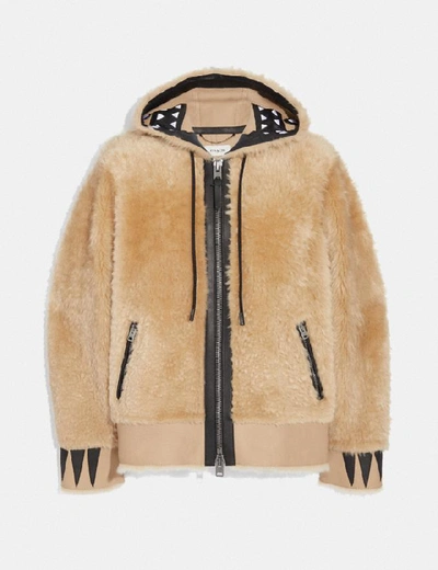 Shop Coach Shearling Rexy Hoodie In Color<lsn_delimiter>dirty Chai