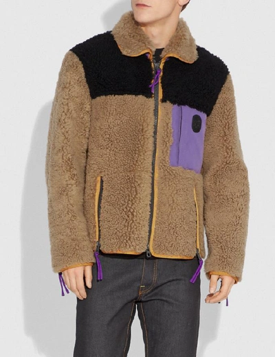 Shop Coach Colorblock Shearling Jacket In Burnt Sienna