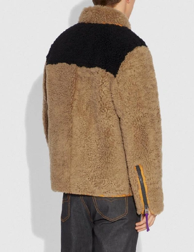 Shop Coach Colorblock Shearling Jacket In Burnt Sienna