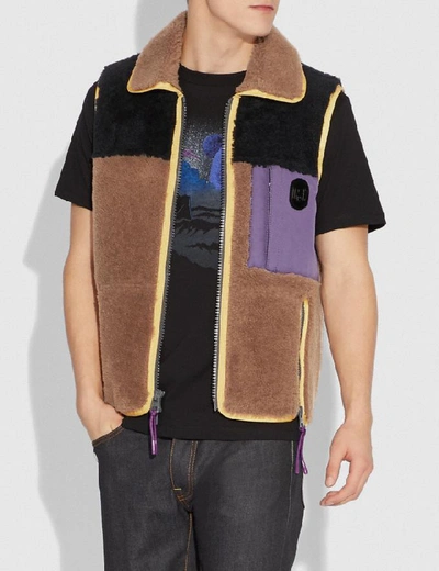 Shop Coach Colorblock Shearling Vest In Burnt Sienna