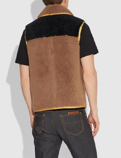 Shop Coach Colorblock Shearling Vest In Burnt Sienna