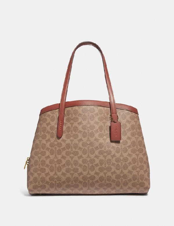 coach carryall 40