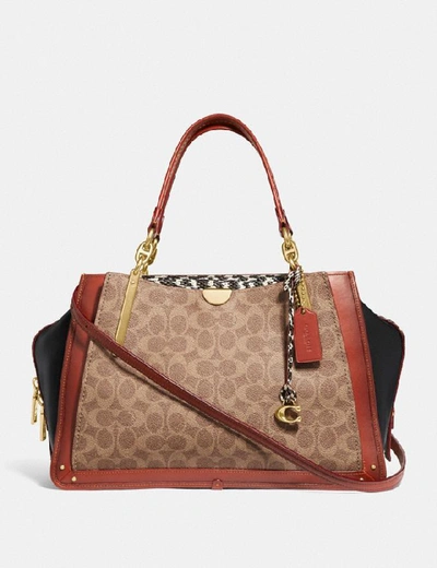 Shop Coach Dreamer 36 In Signature Canvas With Snakeskin Detail In Tan/black Multi/brass