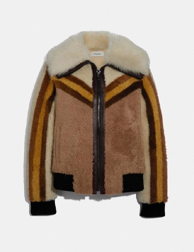 Shop Coach Shearling Bomber Jacket In Carub