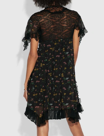 Shop Coach Forest Floral Print Baby Doll Dress - Women's In Black