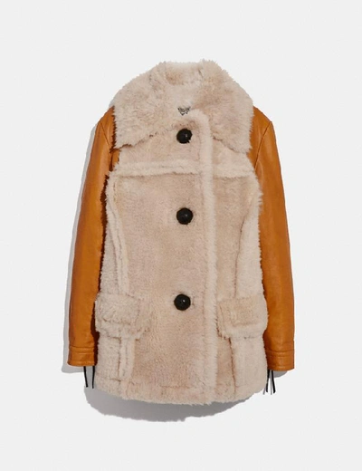 Shop Coach Shearling Leather Coat - Women's In Dirty Chai