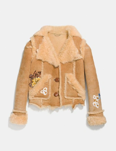 Shop Coach Eagle Raggedy Shearling Jacket In Toffee