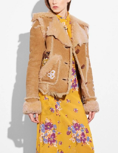 Shop Coach Eagle Raggedy Shearling Jacket In Toffee